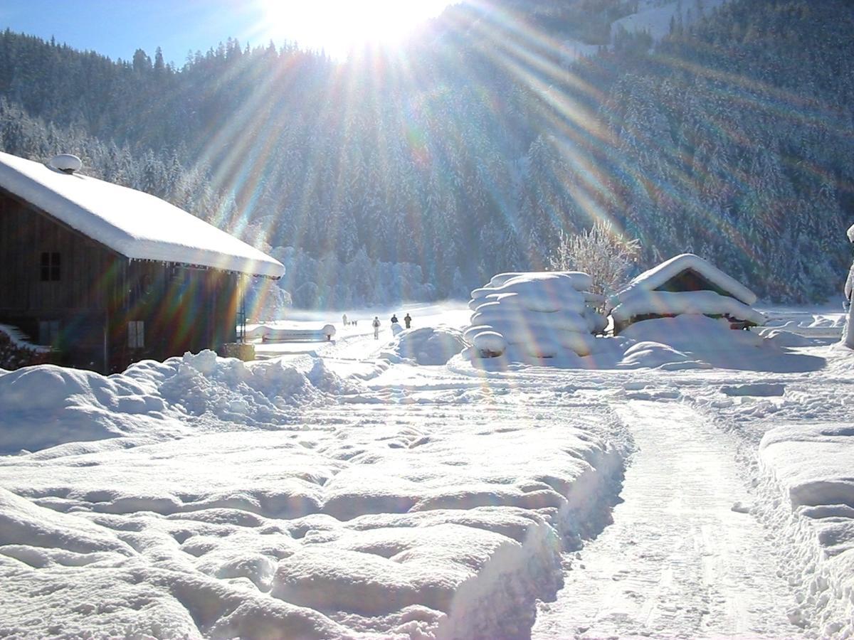 Gasthof Schuetthof Нойкирхен-ам-Гросфенедигер Экстерьер фото