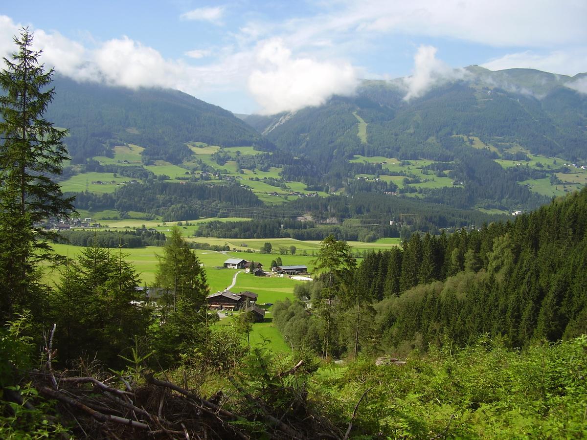 Gasthof Schuetthof Нойкирхен-ам-Гросфенедигер Экстерьер фото